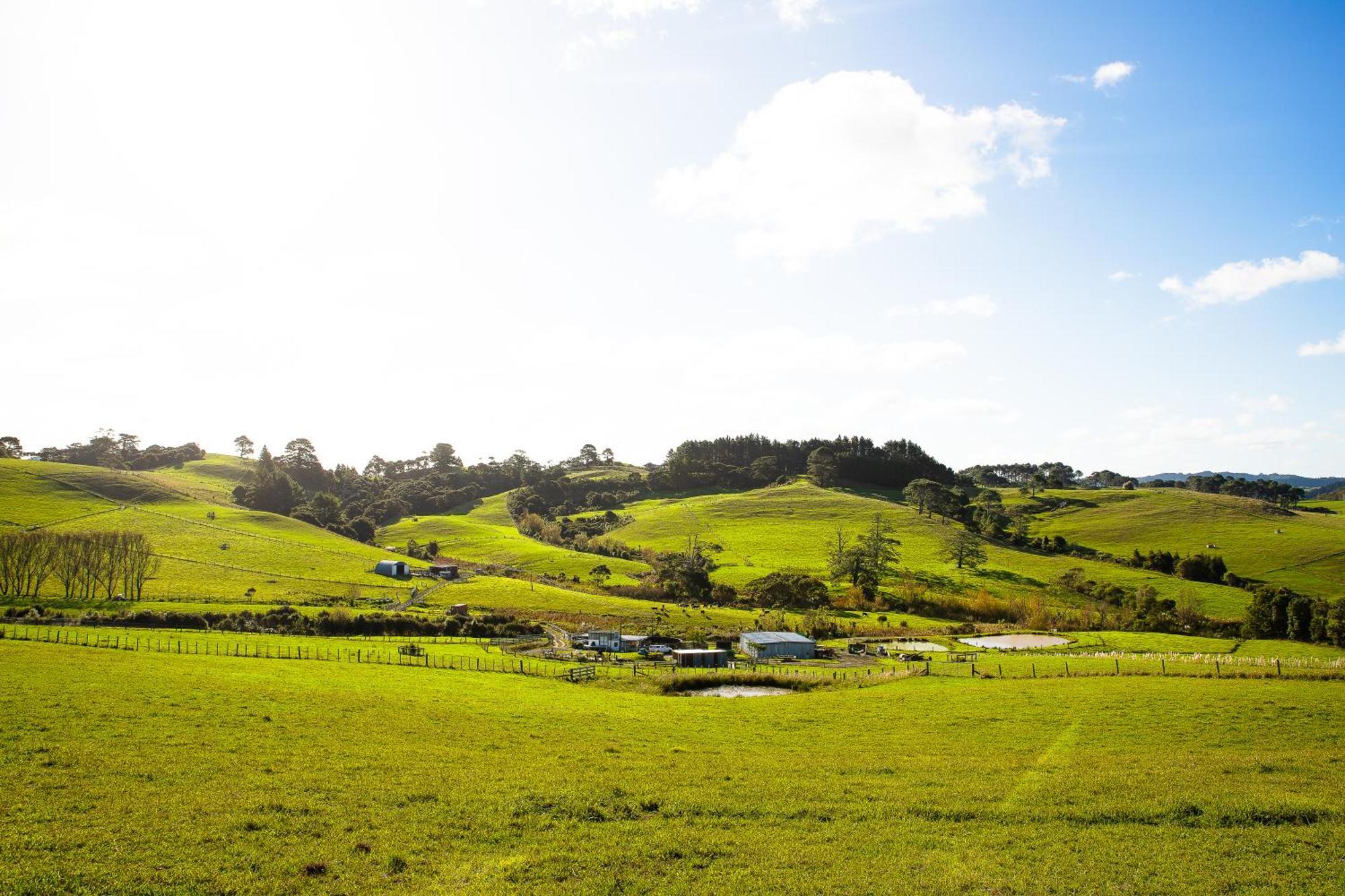 Bever Farm Waitoki Exterior foto