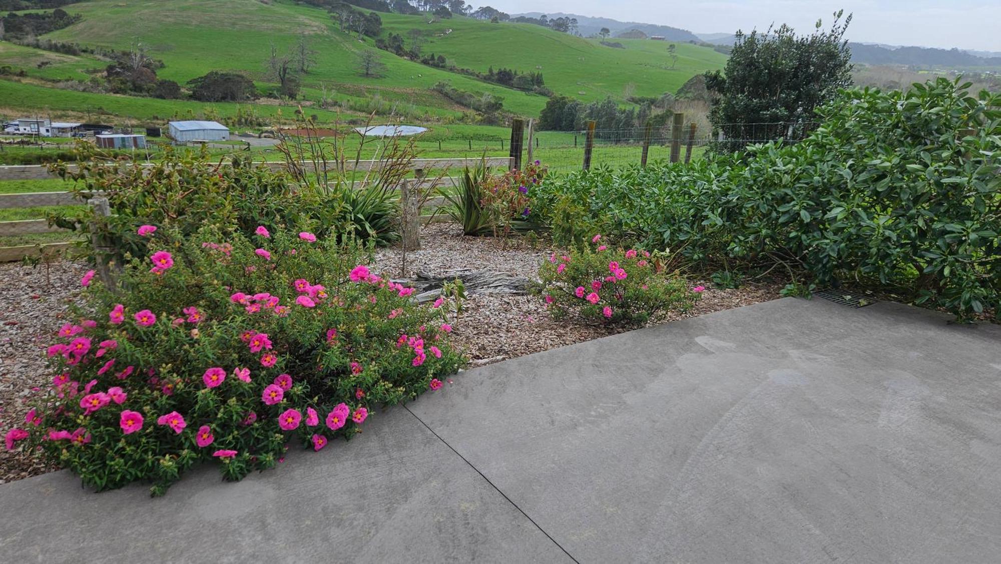 Bever Farm Waitoki Exterior foto